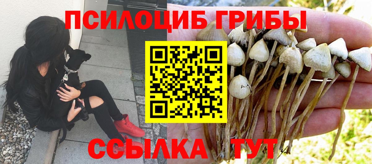 Псилоцибиновые грибы Cubensis  Псилоцибиновые грибы MAGIC MUSHROOMS  Вход с VPN  Коркино 